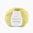 Casiopea von Katia