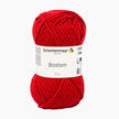 Boston von Schachenmayr