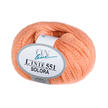 Linie 551 Solora von ONline