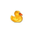Enten-Kissen