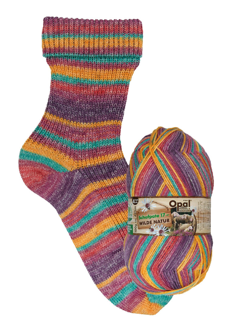 Bunte Socke in Rippstrick, zusammen mit dem Opal Schafpate Garn.