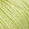 Limette