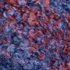 Dunkelorange/Blau