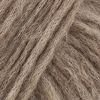 17 Camel
