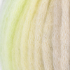 04 Kiwi